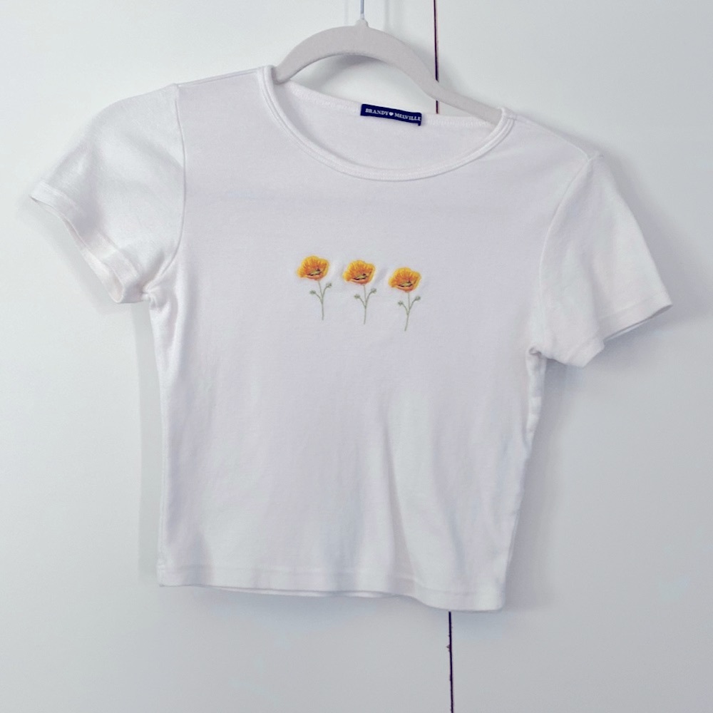 Brandy Melville classic Crop Tee, VGUC One Size